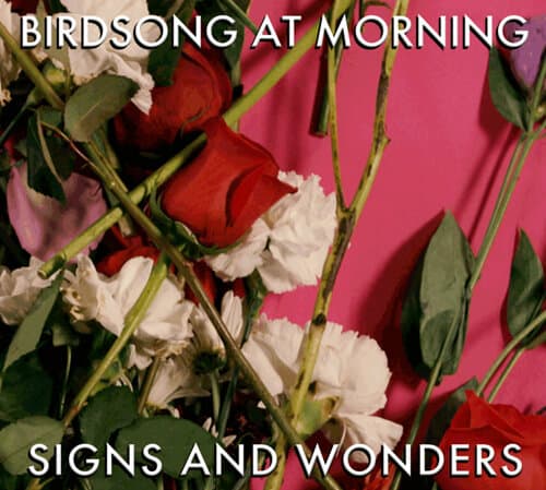Birdsong At Morning: Sings and Wonders