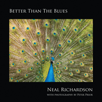 Neal Richardson: Better Than The Blues